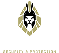 Leader Security & Protection: the ultimate security agency since 2013